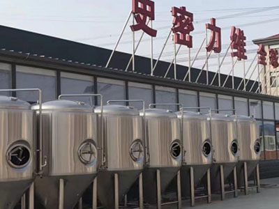 额济纳精酿啤酒设备厂—如何判断精酿啤酒设备的密封件需要更换？